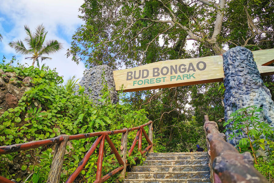 Bud Bongao Peak